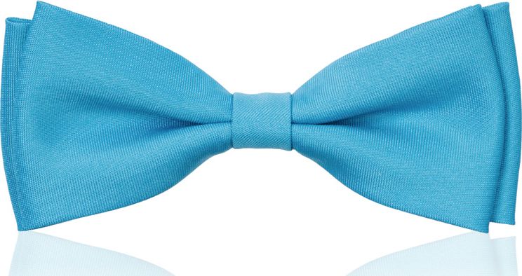 Aleszale Mucha Męska Muszka , Musz-Men-15