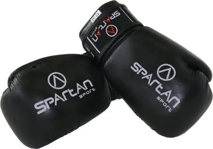Rękawice Bokserskie Top Ten