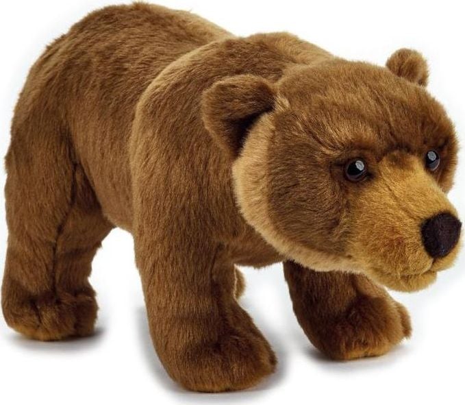 National Geographic Niedźwiedź Grizzly (003-70845)