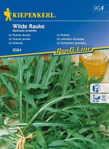 Kiepenkerl Rukola Wilde Rauke Kiepenkerl