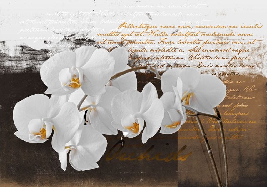 DecoNest Fototapeta - Myśli sentymentalne - 250X175