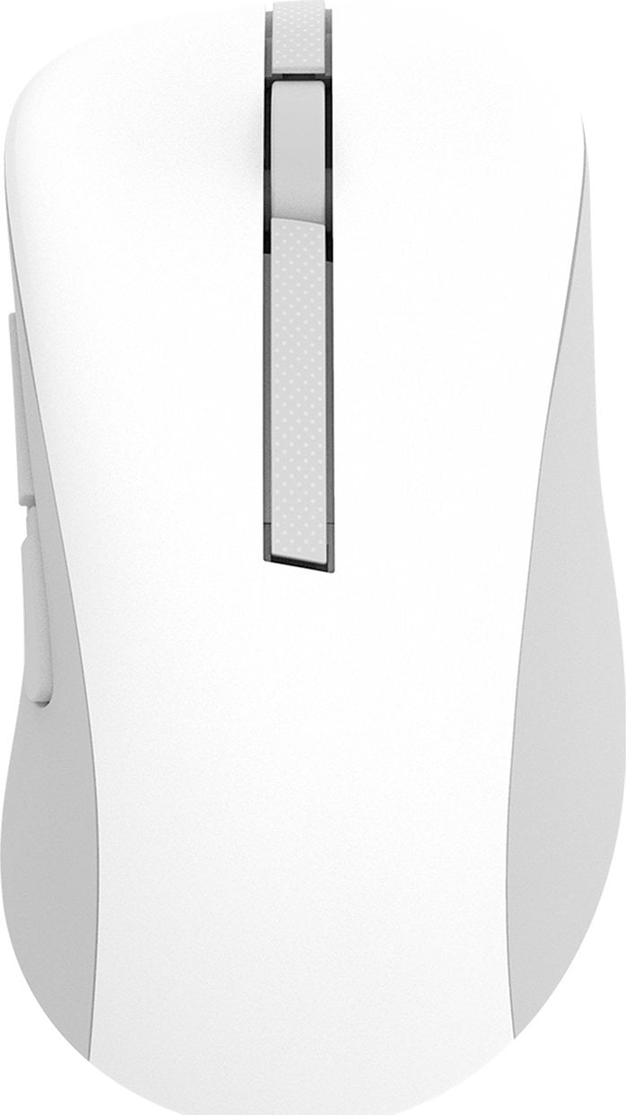 Mysz Asus Asus Wireless Mouse | MD102 | Mouse | 2.4 GHz, Bluetooth | White