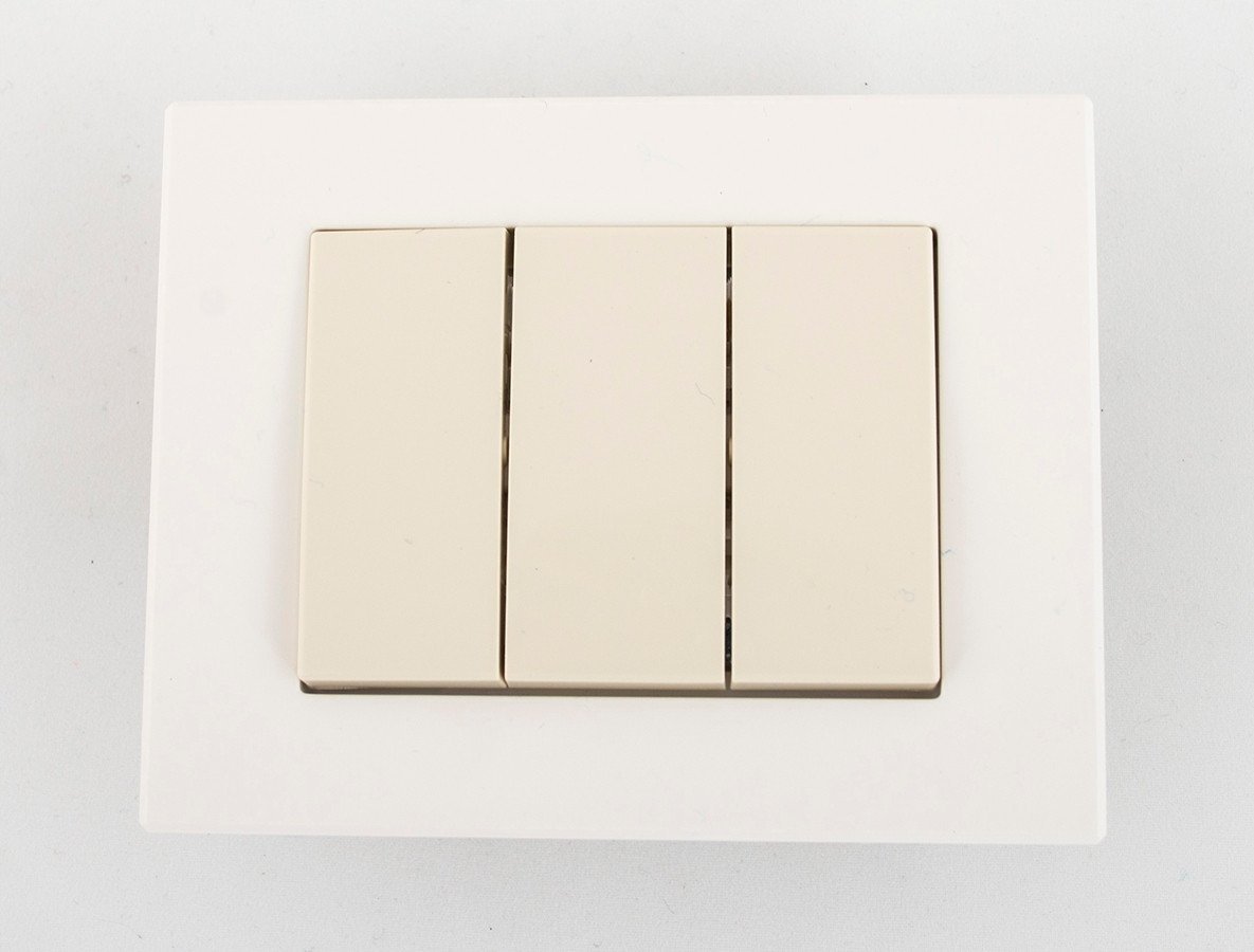 BEIGE (XP500) SWITCH (P510-030-02 V)