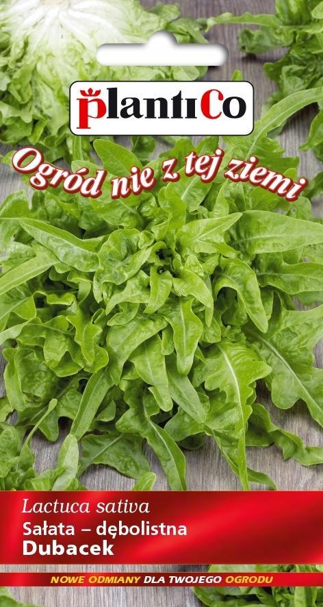 Plantico Sałata Dębolistna Zielona Dubacek 0,5g