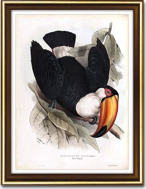 GO-BI Obraz - REPRODUKCJE NOWOŚCI 33x43cm