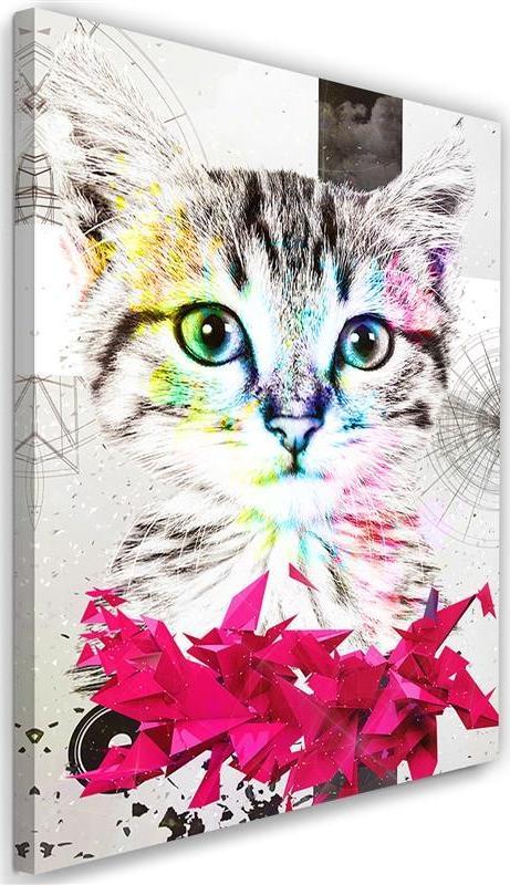 Feeby OBRAZ NA PŁÓTNIE Abstrakcja Kolorowy Kot 60x90
