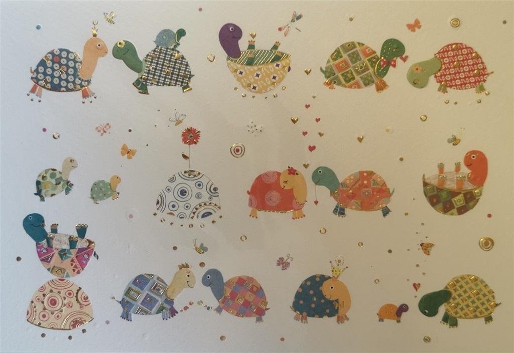 Turnowsky Karnet B6 + koperta MO6315 Żółwiki