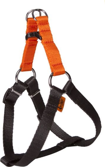 Dingo szelki fred "energy" rozmiar 40 szer. 1,2 cm, z taśmy polipropylenowej orange+black - 94607