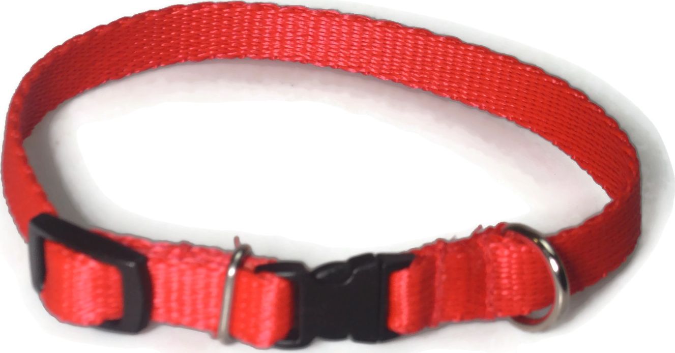 Alizoo Obroża dla małego psa 13mm/21-36cm - ALIZOO