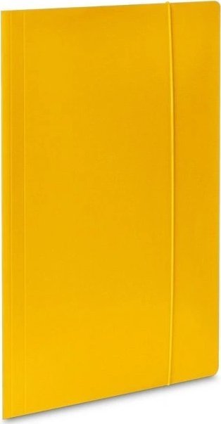 Barbara TECZKA KARTONOWA BARBARA A4 300 G/M2, ŻÓŁTY