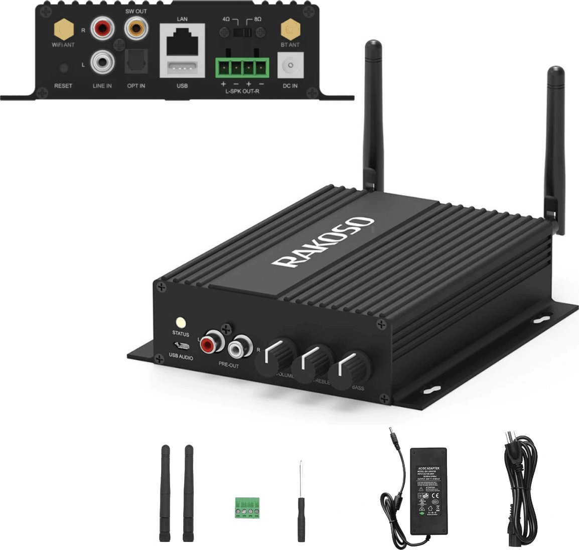 Arylic Arylic SA100 Multiroon Streamer ze wzmacniaczem do zabudowy