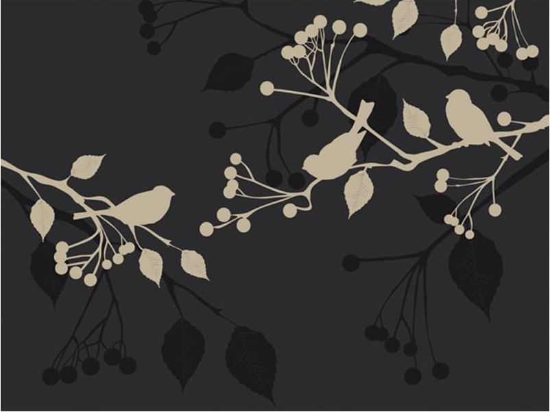 DecoNest Fototapeta - Little birds - 200X154