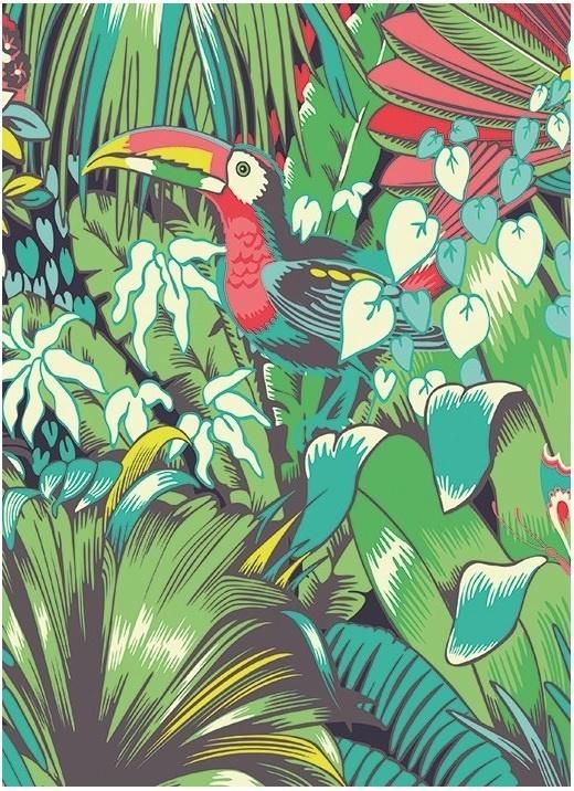 Museums & Galleries Karnet B6 z kopertą Toucan