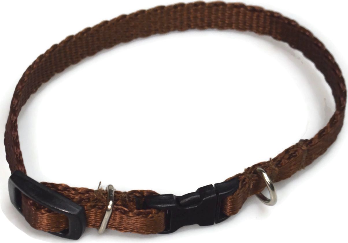 Alizoo Obroża dla psa 10mm/18-29cm - ALIZOO