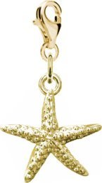 Radziszewska Jewellery Pozłacany Charms ROZGWIAZDA DEDYKACJA