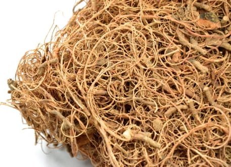 Bioterr BioIndian Roots Korzonki Indyjskie 25g