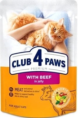 CLUB4Ł KOT sasz.85g WOŁOWINA w galaretce /24