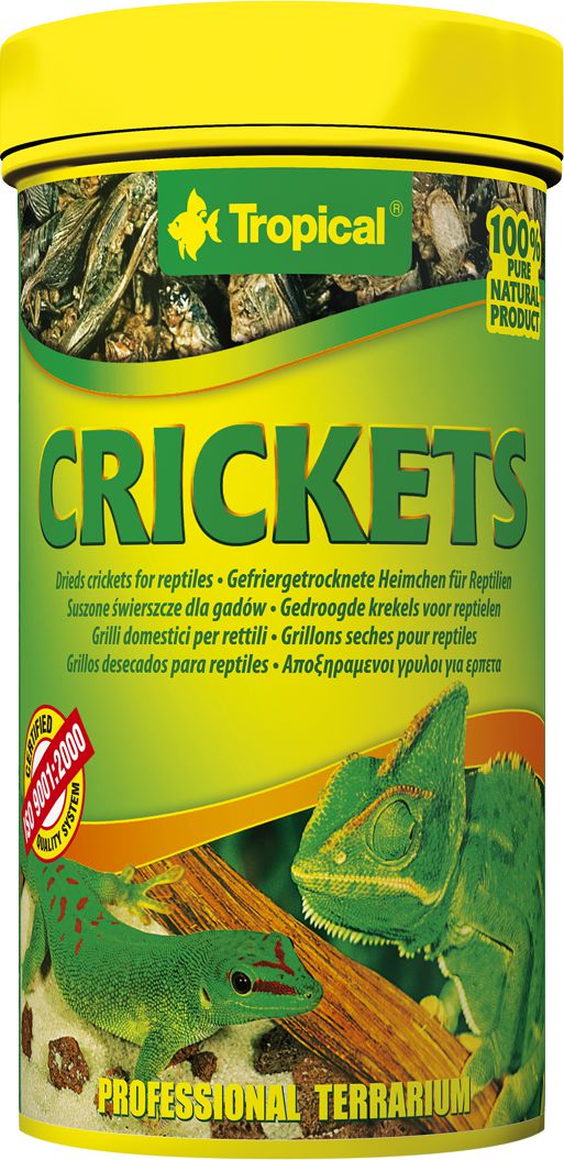 Tropical CRICKETS 100ML (29549)