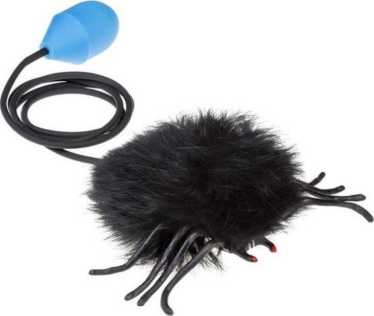 Tullo Skaczący pająk czarny