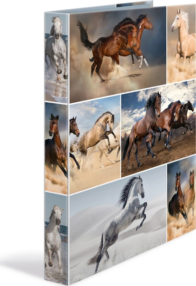 Segregator Herma 2-ringowy A4 35mm (19429)