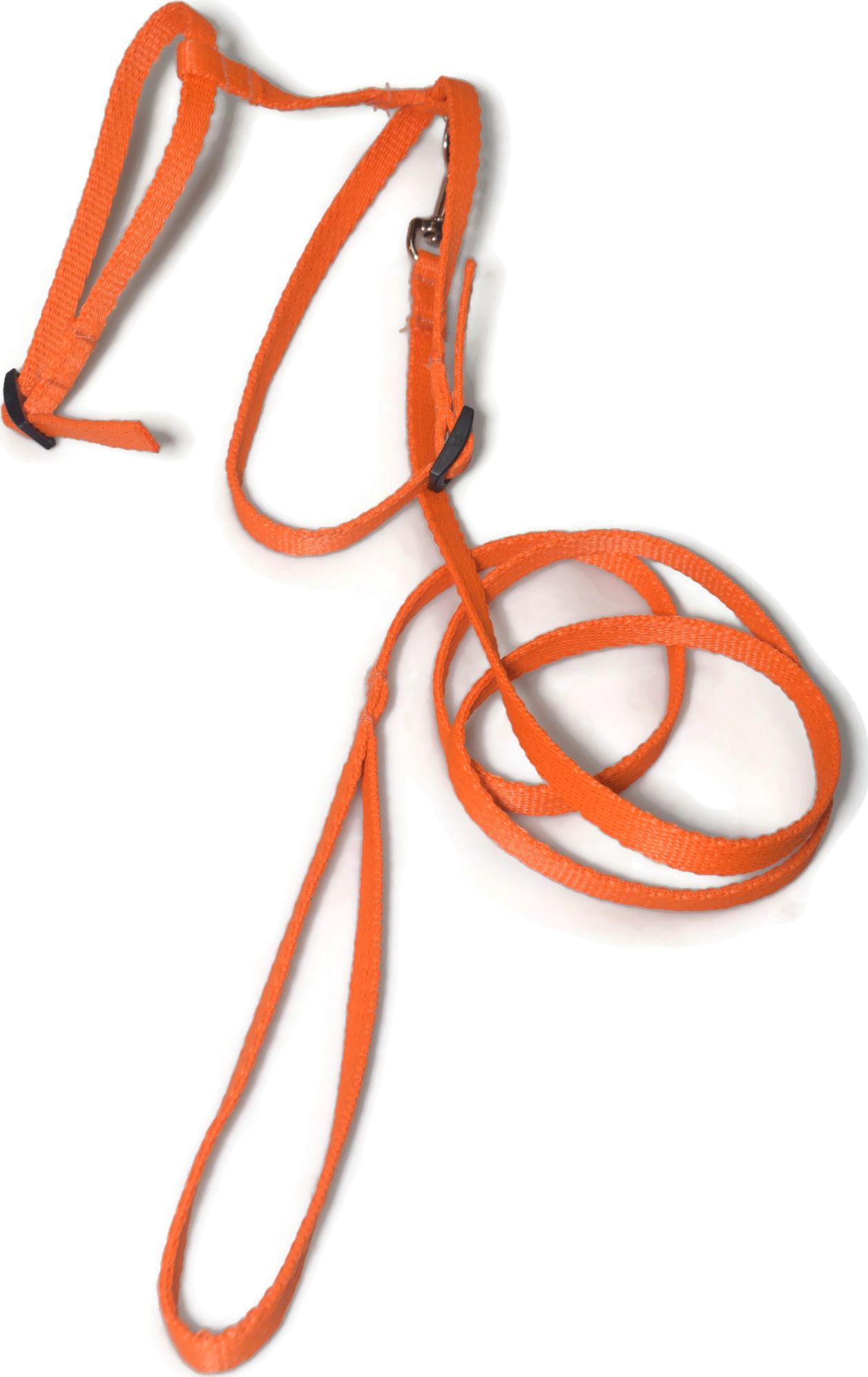 Alizoo Komplet dla kota, pasuje jak dla kociąt tak i dorosłemu. smycz szelki - ALIZOO