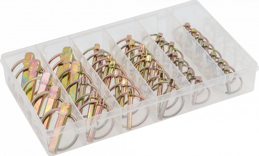 Högert Technik HOGERT SET OF PIN PINS WITH RING 50 pcs.