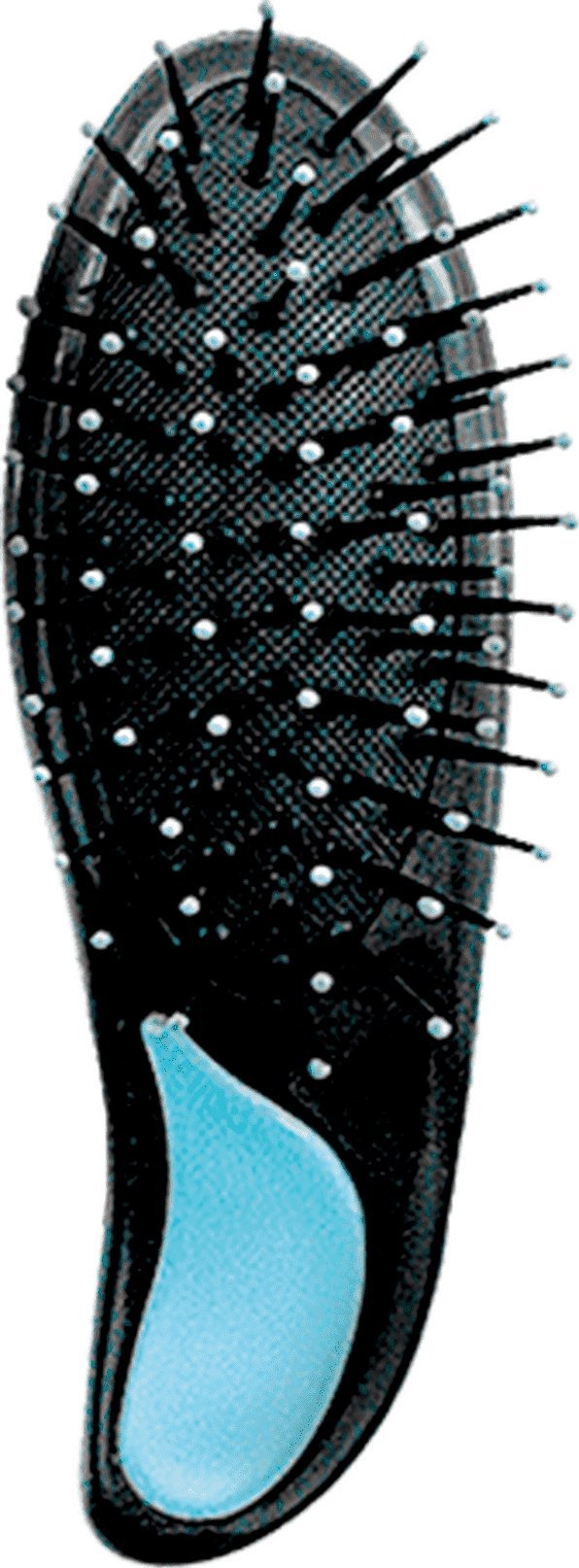 Intervion brak nazwy