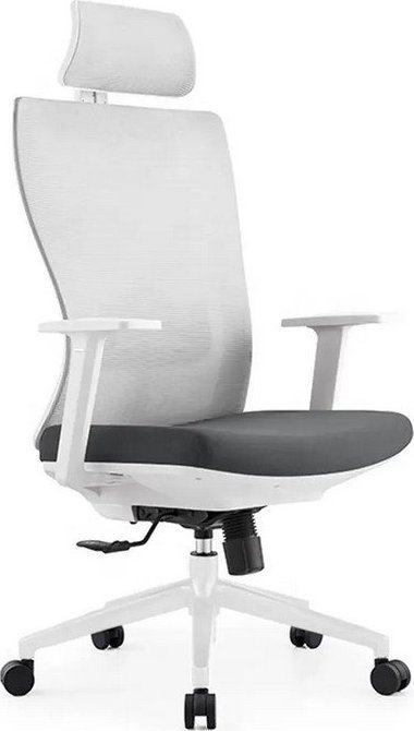 Krzesło biurowe DM Ergonomiczne krzesło obrotowe do biura (ELSA)