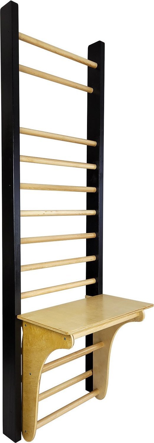 UnderFit Drabinka gimnastyczna Leon 250 x 80 cm czarna + drążek + blat