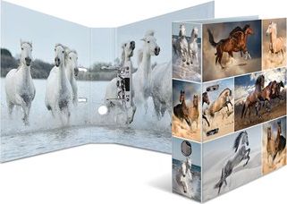 Segregator Herma dźwigniowy A4 70mm (7164)