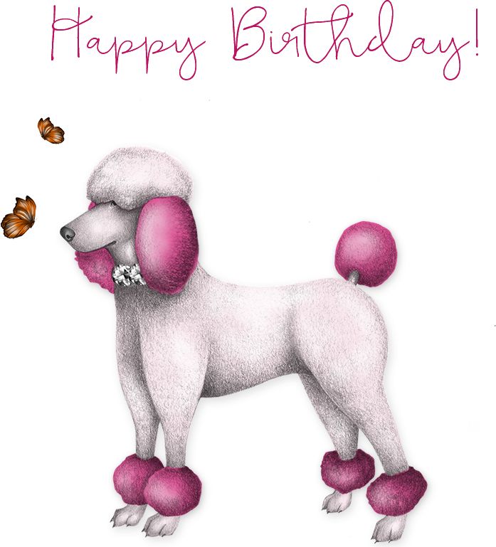 Clear Creation Karnet Swarovski kwadrat CL0307 Urodzinowy pudel