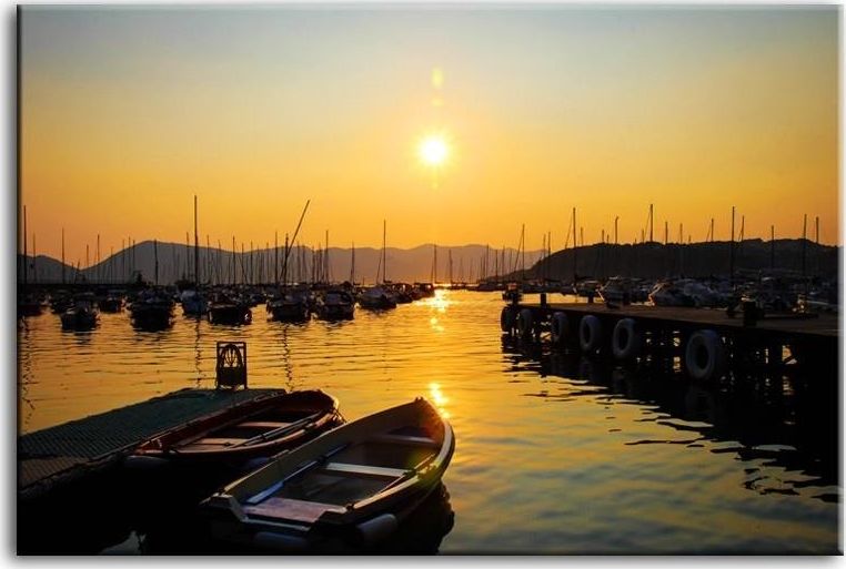 GO-BI Obraz "Słońca" reprodukcja 60x90 cm