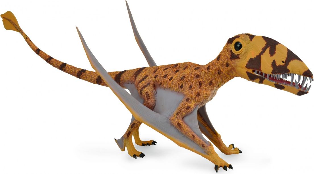 Figurka Collecta Dinozaur Dimorphodon z ruchomą szczęką (004-88798)