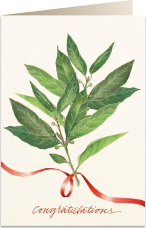 Tassotti Karnet B6 + koperta 5963 Gratulacje Liście