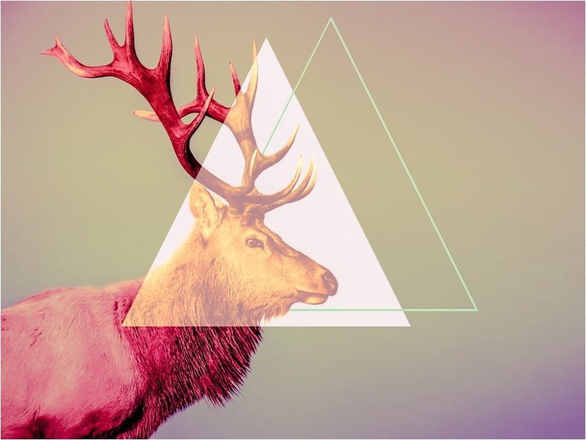 DecoNest Fototapeta - jeleń (motyw graficzny) - 300X231