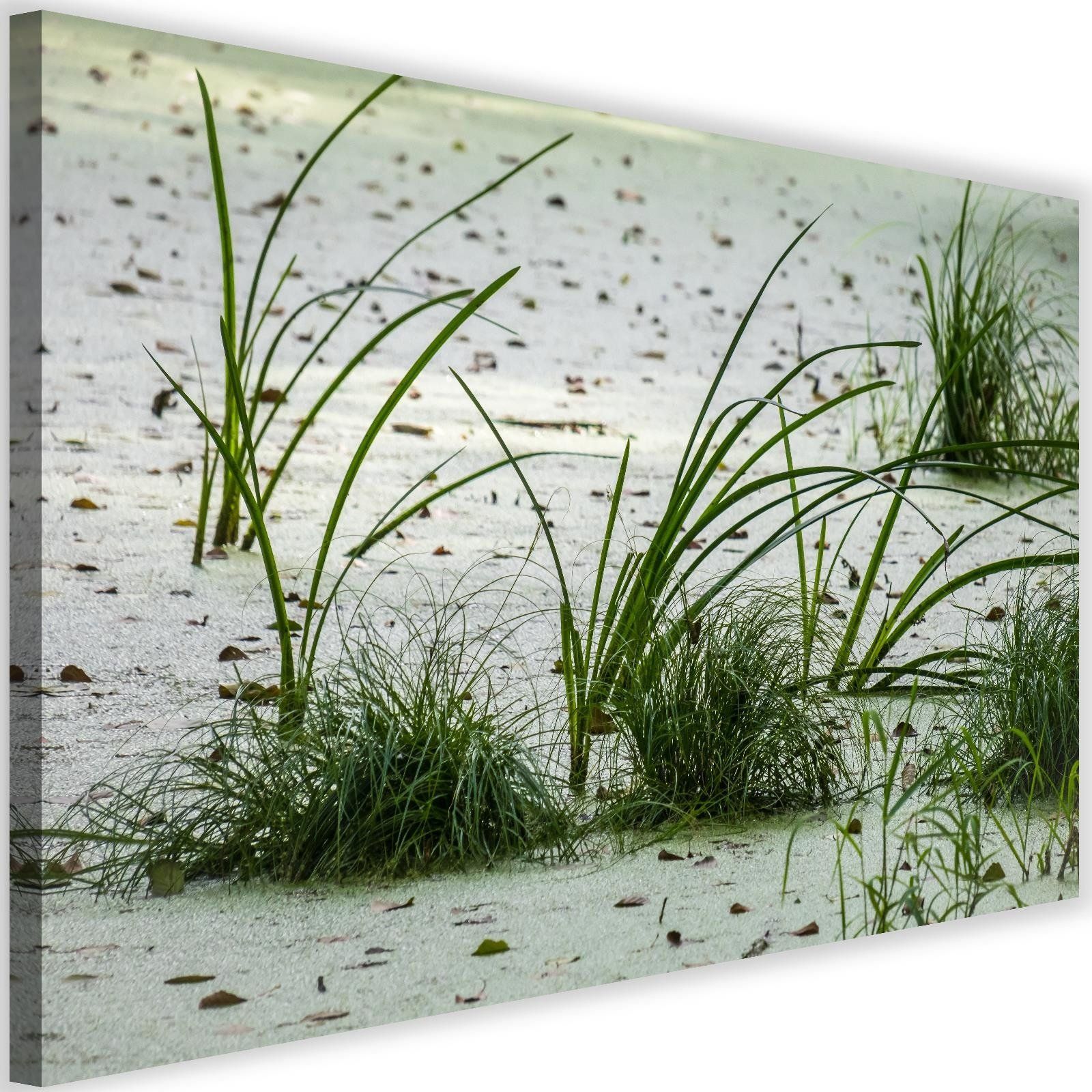 Feeby Obraz na płótnie - Canvas, Trawy na plaży 120x80