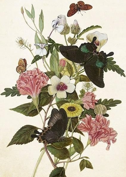 Skona Ting Karnet ST443 B6 + koperta Bukiet i motyle