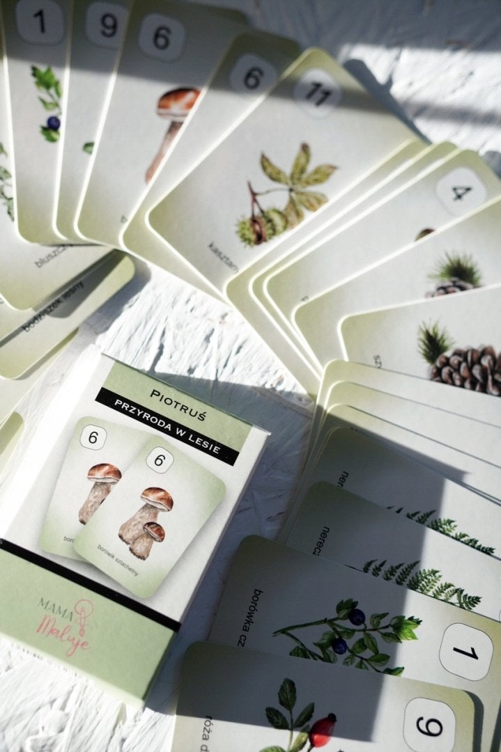 Teka Karty Piotru¶ - Pojazdy