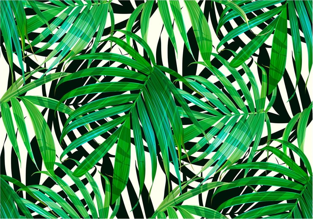 DecoNest Fototapeta - Tropikalne liście - 200X140