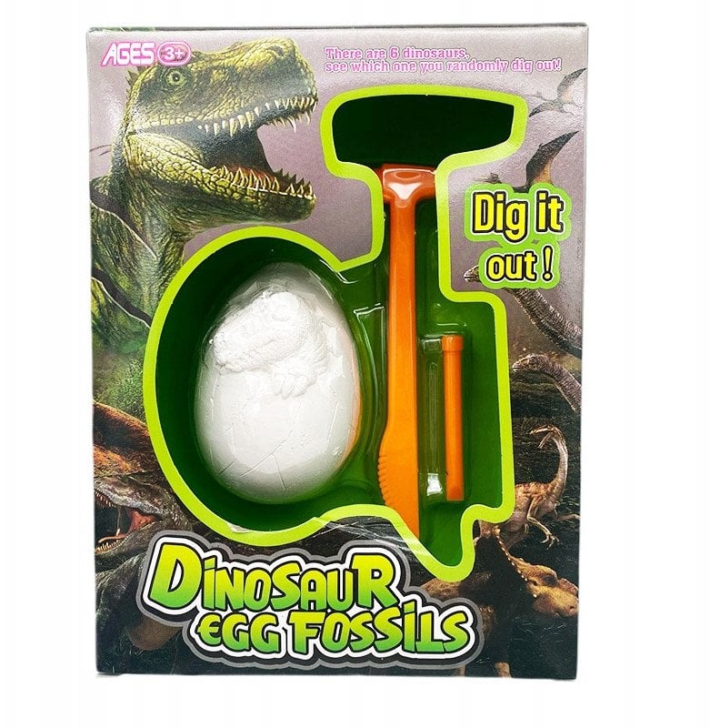 LeanToys Wykopaliska dinozaury zestaw 6szt/disp 3067 13490