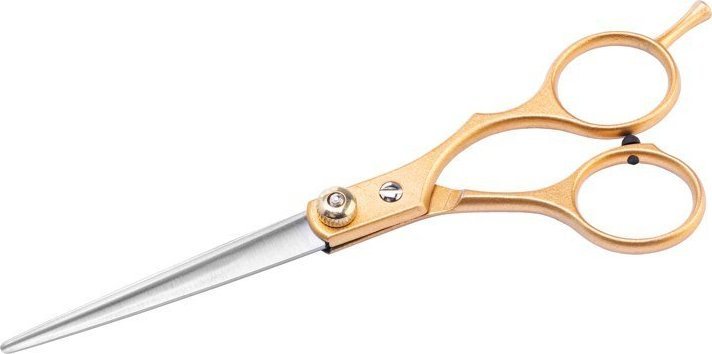 Snippex SNIPPEX NOŻYCZKI FRYZJERSKIE 6.0 ZŁOTE