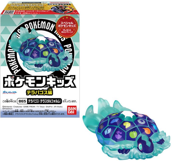 Pokemon Kids Terapagos Edition