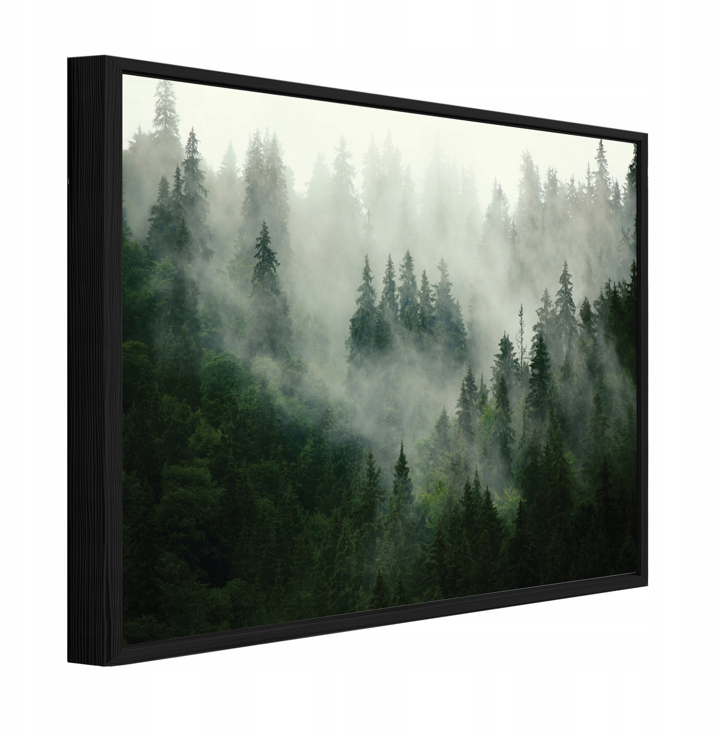 Obraz W Ramie Na Płótnie Las Mgła Do Sypialni Salonu 100x70