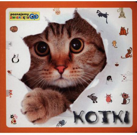 Poznajemy zwierzęta - Kotki (120405)