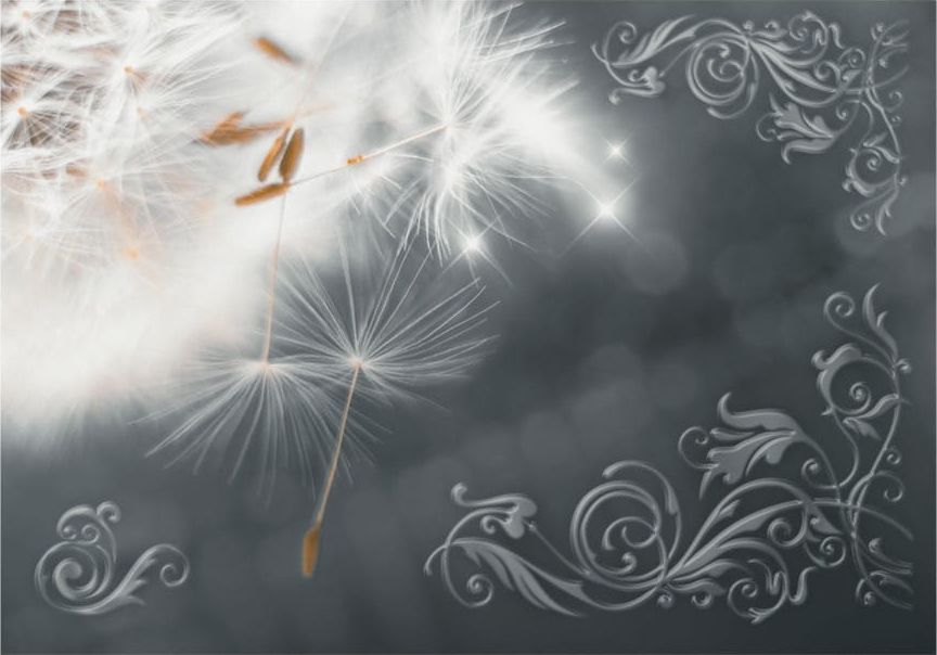 DecoNest Fototapeta - Magia delikatności - 350X245