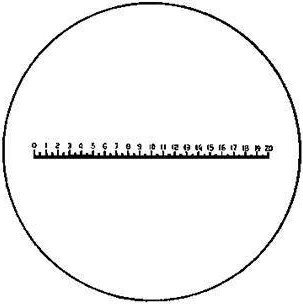 Mikroskop Eschenbach Skala pomiarowa precyzyjna, typ D ESCHENBACH