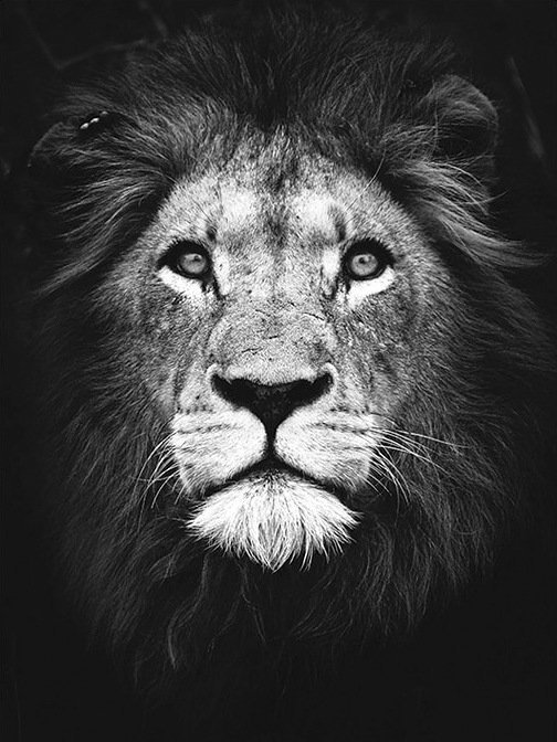 Obraz MALOWANIE PO NUMERACH Na Krośnie + RAMA