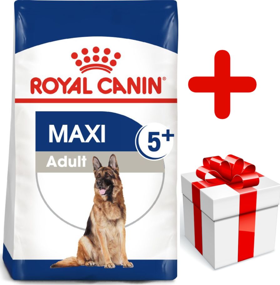 Royal Canin ROYAL CANIN Maxi Adult 5+ 15kg karma sucha dla psów starszych, od 5 do 8 roku życia, ras dużych + niespodzianka dla psa GRATIS!