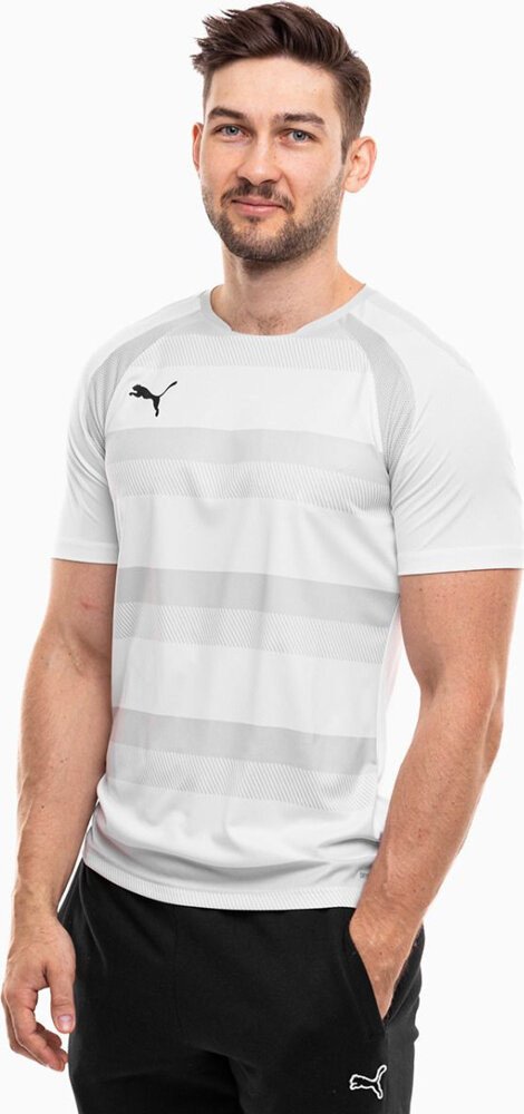 Koszulka męska Puma teamVISION Jersey biała 704921 04 2XL