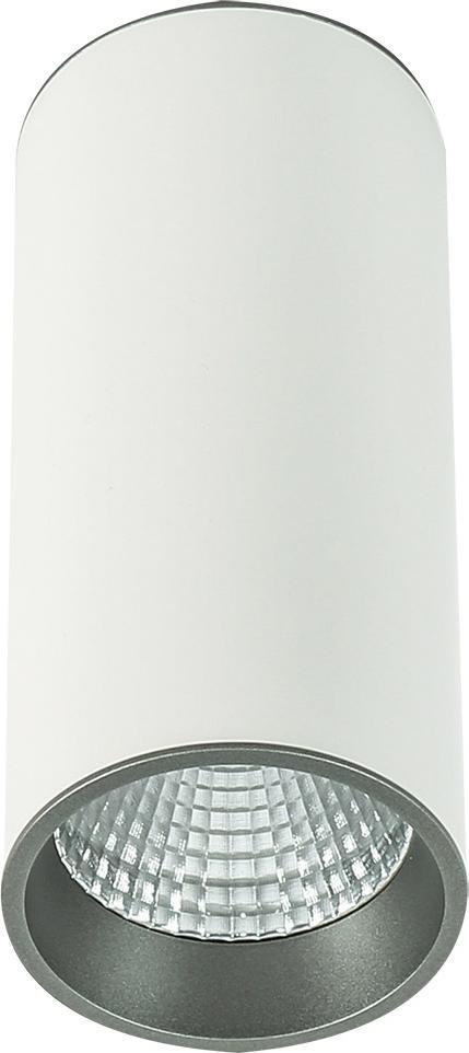 Lampa sufitowa Italux Moldes Big WH/GR Ceiling 3000K SLC7392/12W 3000K WH+GR